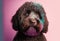 Cute portrait of a cockapoo crossbreed dog. Bright neon lighting. Generative ai