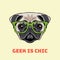 Cute portrait of nerdy Pug dog. Vector illustration on white