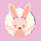 cute portrait pink rabbit bow decoration