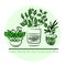 Cute pots with blloming housplants. Hand drawn vector