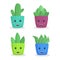 Cute potted succulent plants  collection