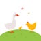 Cute poultry goose, hen and chick are walking on a green meadow