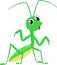 Cute Praying mantis grasshopper cartoon