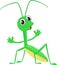 Cute Praying mantis grasshopper cartoon