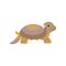Cute prehistoric turtle, funny baby amphibian animal character vector Illustration