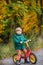 Cute preschool boy of three years riding bike in autumn forest