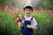Cute preschool child in poppy field, holding a bouquet of wild f
