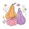 Cute and pretty Pumpkin vector illustration, with pastel color