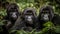 Cute primate portrait staring at camera in tropical rainforest generated by AI