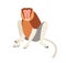 Cute proboscis or bekantan monkey with long fleshy nose, limbs and tail. Hand-drawn exotic Asian animal. Flat cartoon