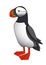 Cute puffin with red beak & paws, seabird for logo, pattern or emblem