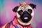 Cute pug with crowns on heads smiling on bright multicolored background. Portrait of happy dogs with royal accessories