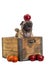 Cute Pug dog in apple crate