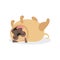 Cute pug dog character sleeping on its back, pet dog cartoon vector Illustration
