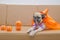 Cute pug dog with costume of happy halloween day sleep rest on s