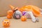 Cute pug dog with costume of happy halloween day sleep rest on s