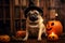 Cute pug dog in a hallowine suit. Generative AI