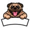 Cute pug dog hold the blank text banner