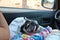 Cute pug dog, smiling, long tongue, happy, ride a car, go on holiday