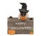 Cute pug dog wearing witch hat with wooden board and text happy halloween