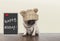 Cute pug puppy dog with bad monday morning mood, sitting next to blackboard sign with text happy monday, copy space