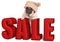 Cute pug puppy dog hanging with paws on big red sale sign, isolated on white background