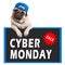 Cute pug puppy dog hanging with paws on sign with text cyber monday, on white background