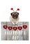 Cute pug puppy dog leaning on wooden fence of used scaffolding wood with red hearts and text happy valentines day