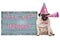 Cute pug puppy dog with pink party hat and horn and old blue wooden sign with festive hip hip hooray banner