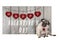 Cute pug puppy dog sitting down next to wooden fence of used scaffolding wood with red hearts and text happy valentines da