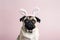 Cute Pug Wearing Easter Bunny Ears on Pink Background. Generative AI.