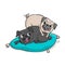 Cute pugs. Vector hand drawn cartoon illustration.