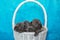 Cute puppies Cane Corso in a basket. Blue background