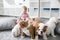 Cute puppies of English bulldog sitting on the carpet with the little girl