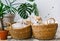 Cute puppies have a rest in two straw basket on floor