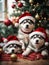 Cute puppies husky wearing Santa Claus red hat under the Christmas tree