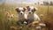 Cute puppies sitting among flowers field