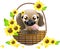 Cute puppy in basket with sunflowers