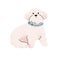 Cute puppy of Bichon breed. Funny toy dog, companion doggy. Fluffy fuzzy furry pup with curly hair. Sweet lovely little