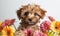 Cute puppy with bouquet of colorful flowers on white background. A playful, young pet in a springtime setting, isolated with copy