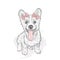 Cute puppy in the bows. Vector illustration. Welsh-Corgi-Pembroke.