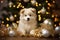 cute puppy - Christmas season - Xmas decoration - black and gold background - white fur