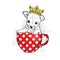 A cute puppy with a crown sits in cup. Vetch illustration for postcard or poster, print on clothes. Pedigree dog. Chihuahua.