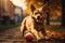 cute puppy dog playing with ball outdoor cinematic