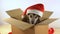 Cute puppy dog in Santa hat sits in a cardboard box with red ribbon.