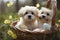 Cute puppy Easter spring beautiful animals dog AI