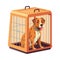 Cute puppy in metal crate, looking trapped