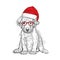 Cute puppy in a New Year hat and scarf. Vector illustration. Pedigree dog. Santa Claus. New Year`s and Christmas.