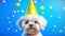 Cute puppy in a party hat on a blue background, cute funny dog celebrating his birthday, cyclic video