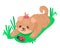 Cute puppy playing with ladybug on the grass. Pretty fluffy brown dog. Vector cartoon illustration.